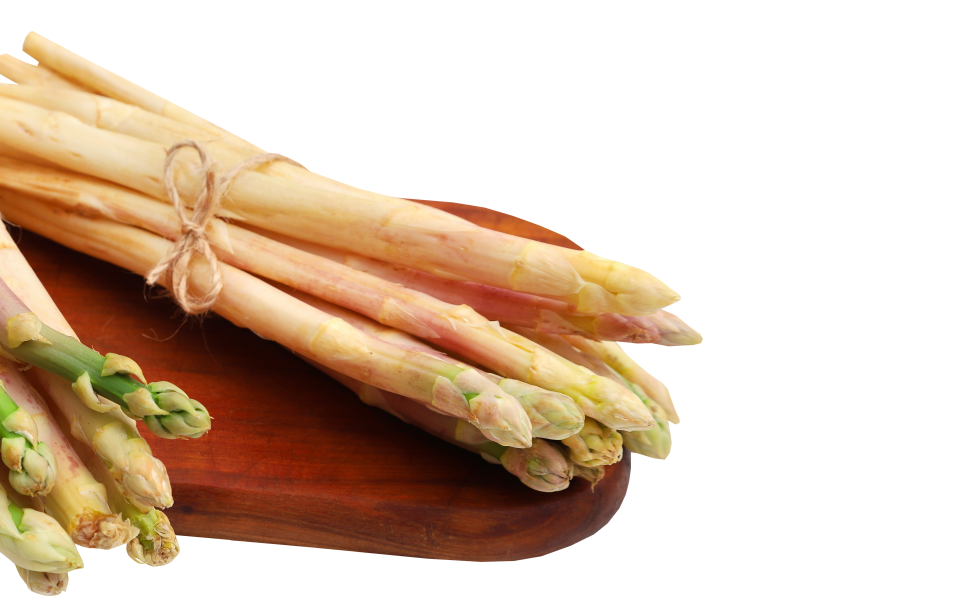 Spargel